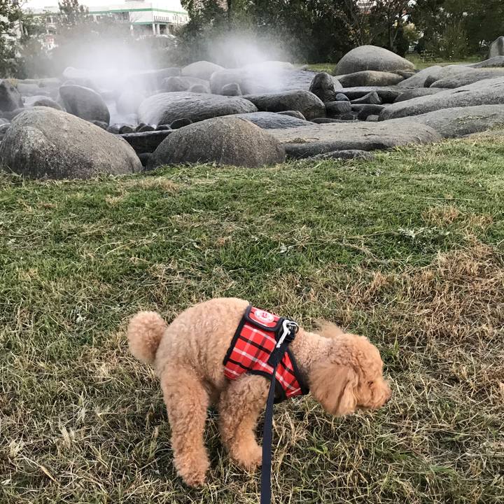 8daa5a99 1f88 4414 b294 2559f44a0939 1539853180199