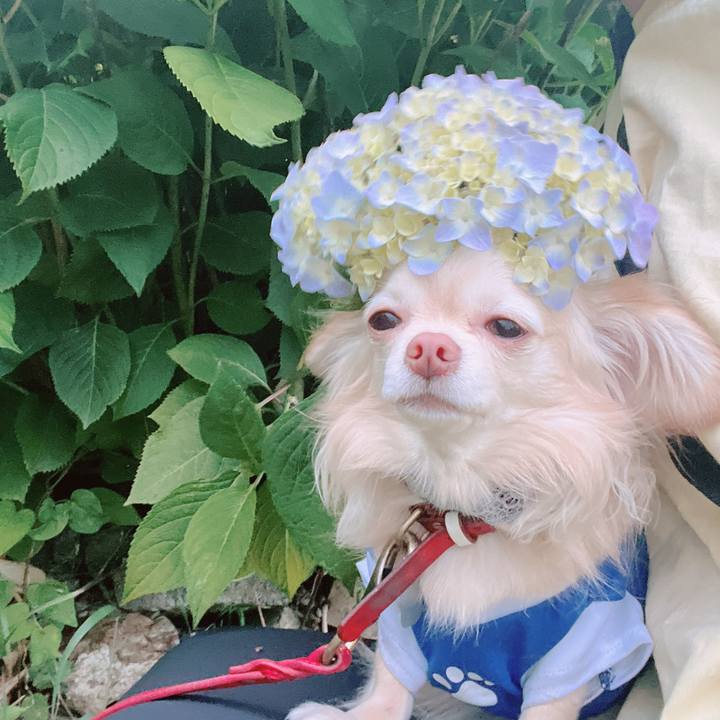 8daa6620 1c2f 4d81 a608 85904a92e0f3 1654251935435