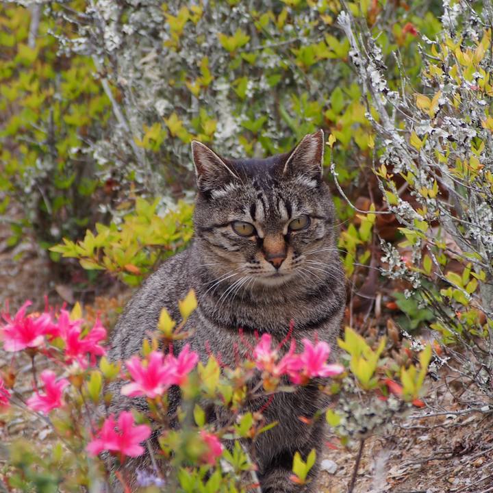 8daa7d8d 0591 49d6 9c5b eb9d11fc27f4 1589120803973