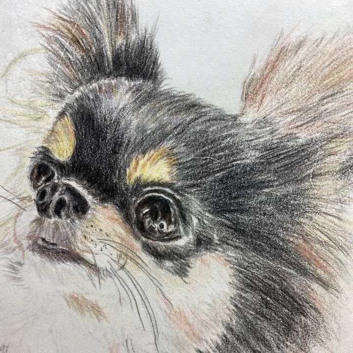 8daa83b6 0301 449f acce b6bcc4de4c99 1635841504217