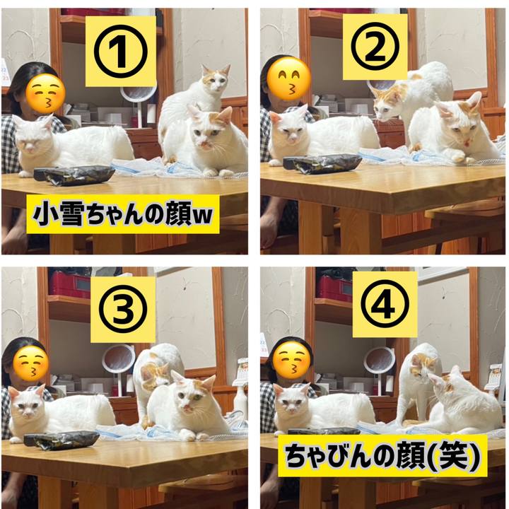 8daa84d4 bb46 493e 91b1 637acc1808b7 1666444895029