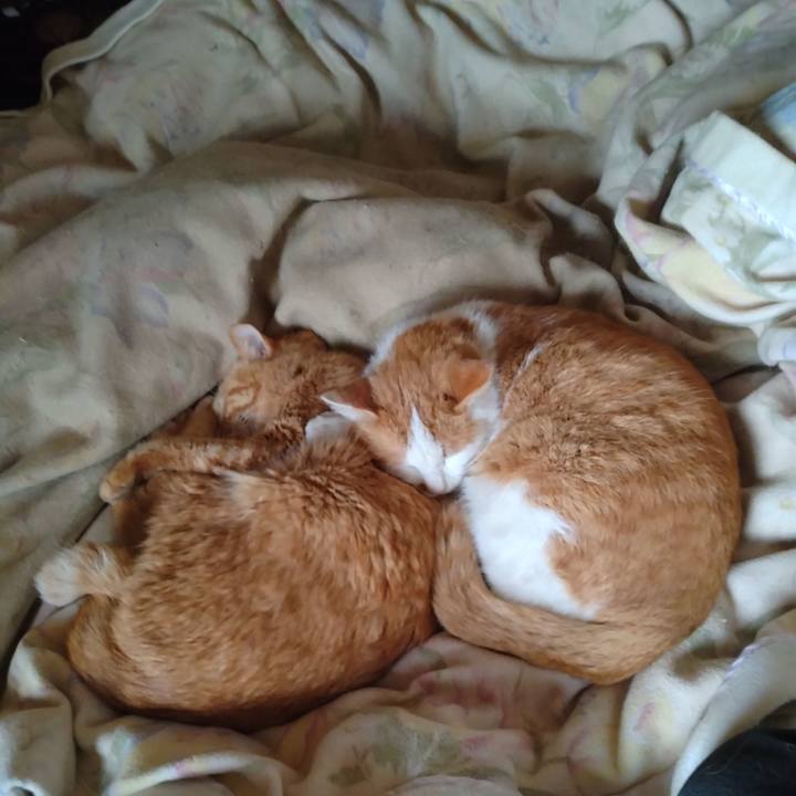 8daaba7b 4335 40dd b27a d689b9b40eab 1773469688959