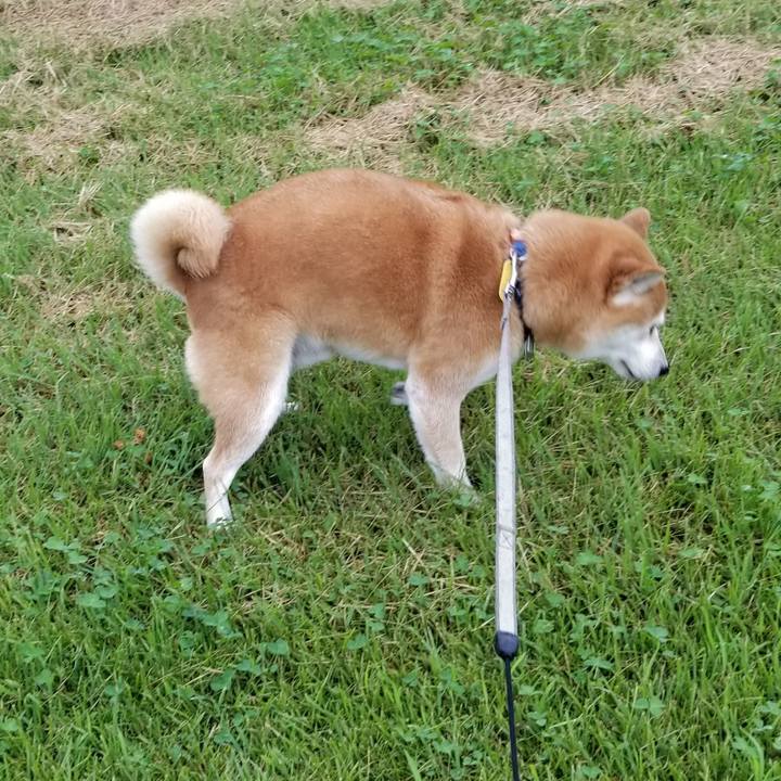 8daac8b1 1d33 4a7b 918f de986a3f0d26 1568184703109