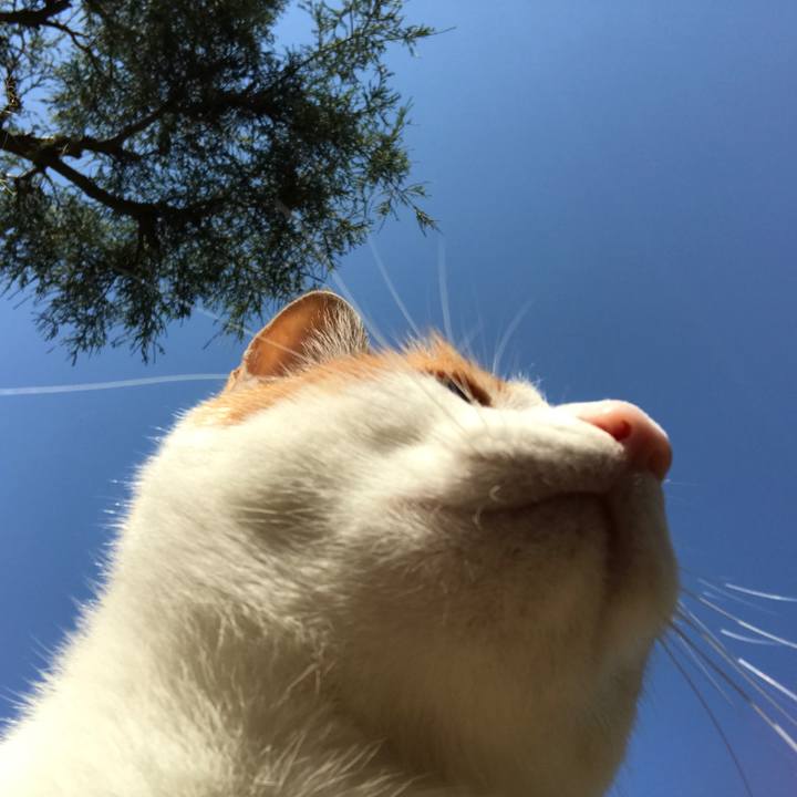 8dab1fa1 ac32 49be 8bc7 409121844efc 1525477455433