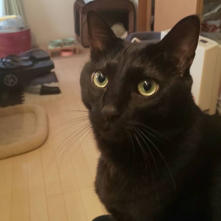 8dab2ae6 2f60 48c3 bfc5 c5f545c7e636 1673091904254