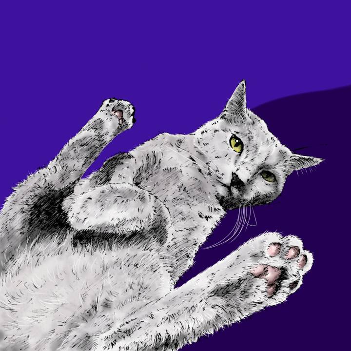 8dab2bf4 edd3 4b76 998b c2758bcb7ba4 1618929544106