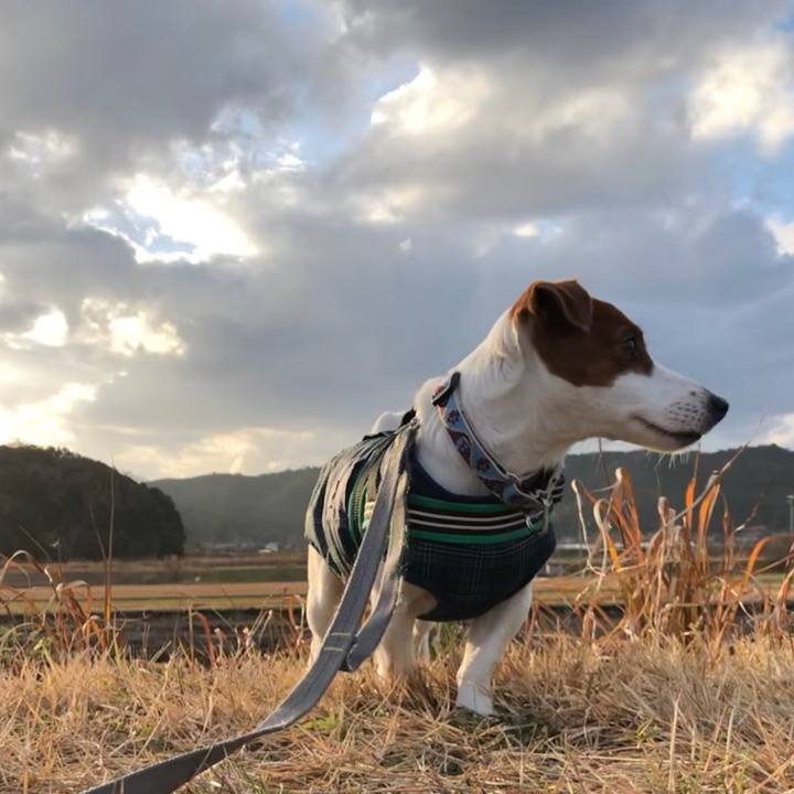 8dac203a 1589 4a57 b567 5c0504a39bf8 1548143707893