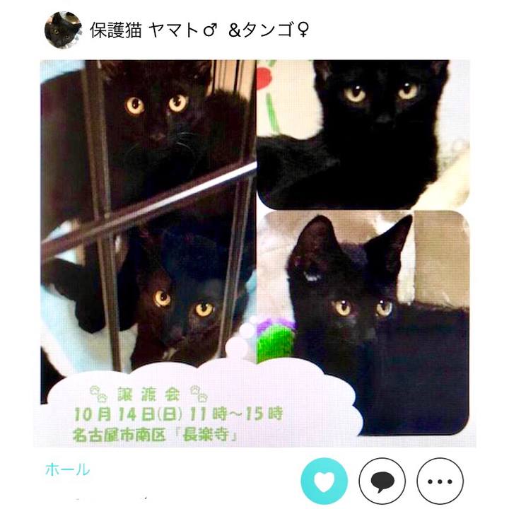 8dac2625 aacf 47dc 8858 4fc44cc522dd 1538396923297