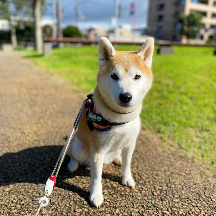 8dac8e5e d677 4b13 873c 1308ddc1f060 1725939363255