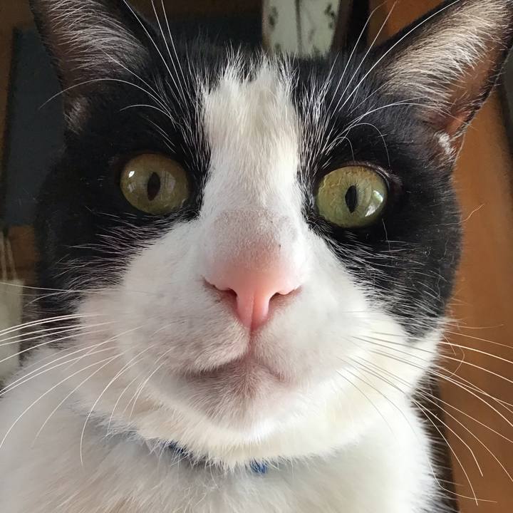 8dacad67 b3ad 4edd 81f1 5b1c47a0bdd5 1716190834416