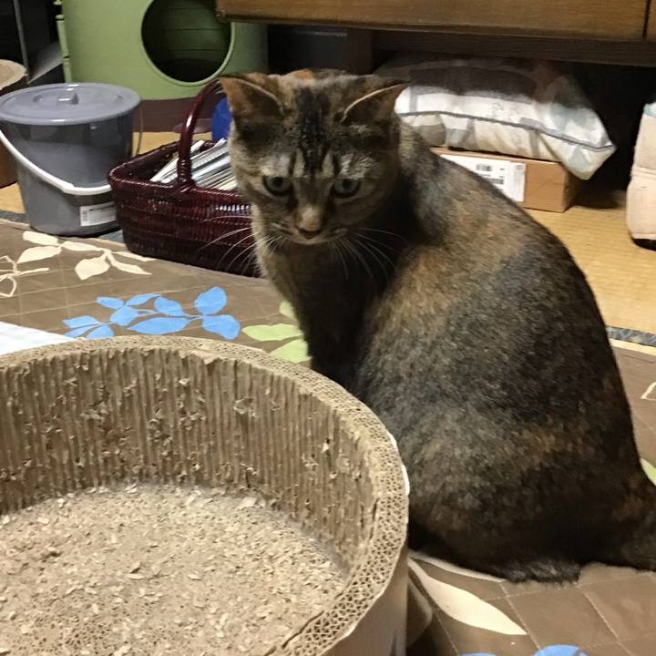 8dad2be1 e899 46e9 82d8 75660ddcc09e 1733045635946