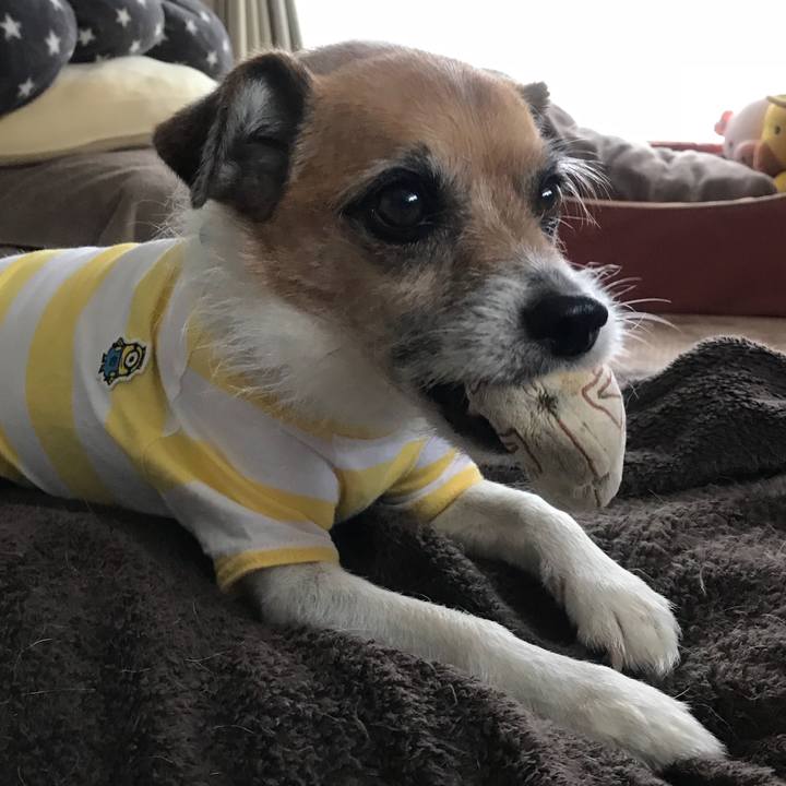 8dad516e 4625 4107 84eb 21cb56d87047 1528968984290