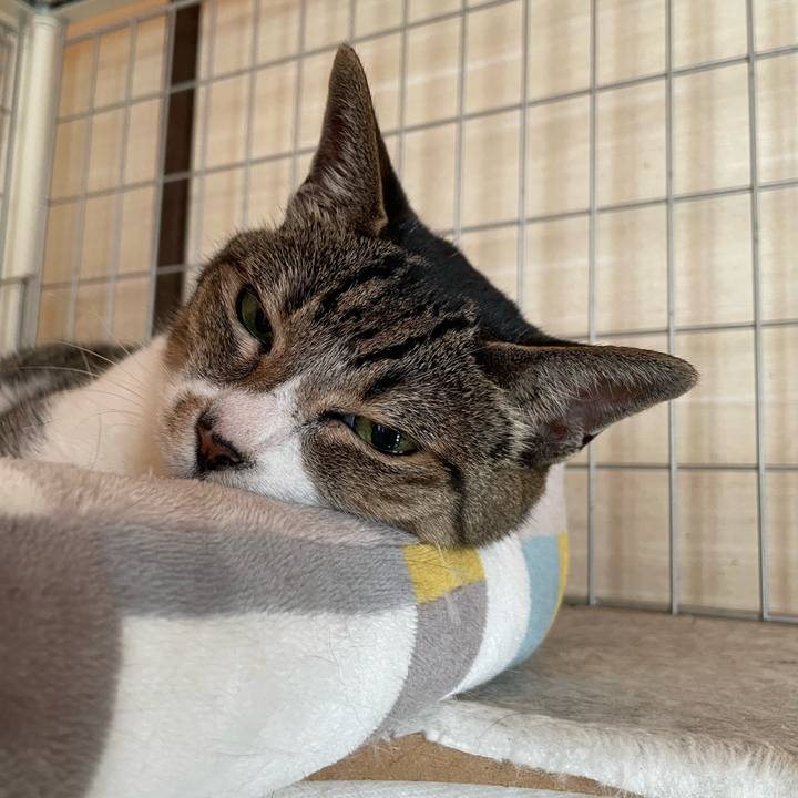 8dad6862 202b 4ace 9eb3 31a72cb3ccc3 1659402656376