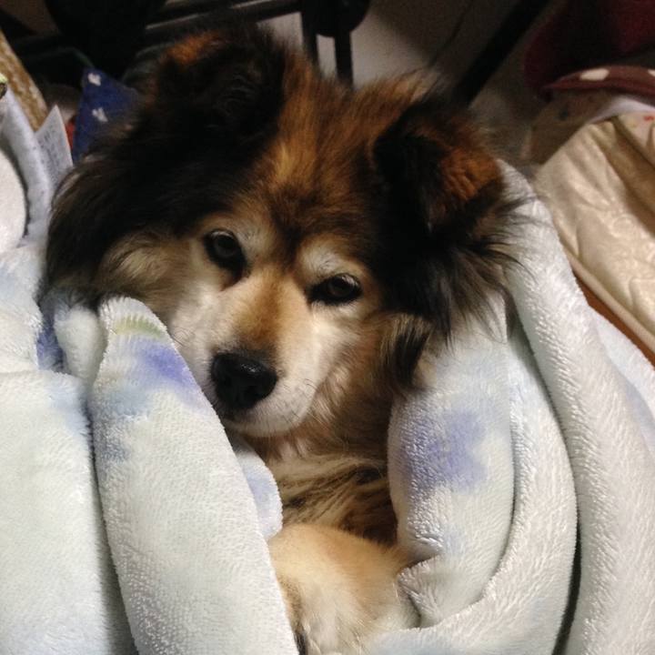 8dad96b0 6943 4dca bed1 85d673056896 1601981618664