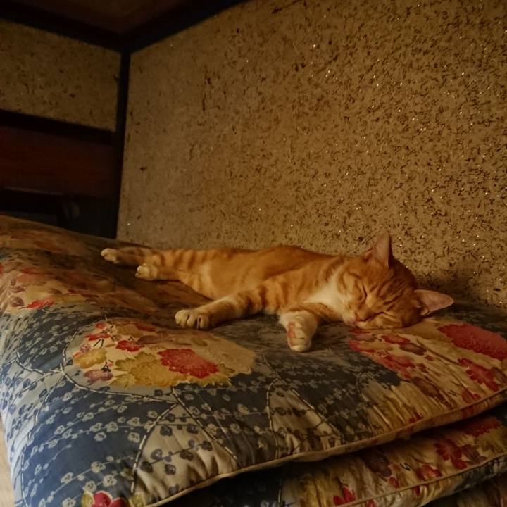 8dadaaa6 4870 4dd3 a2b6 b4492ea29910 1598533756433