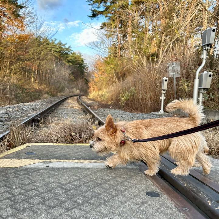 8dadb5a8 715b 4305 93c6 7725f917ab80 1732982483112