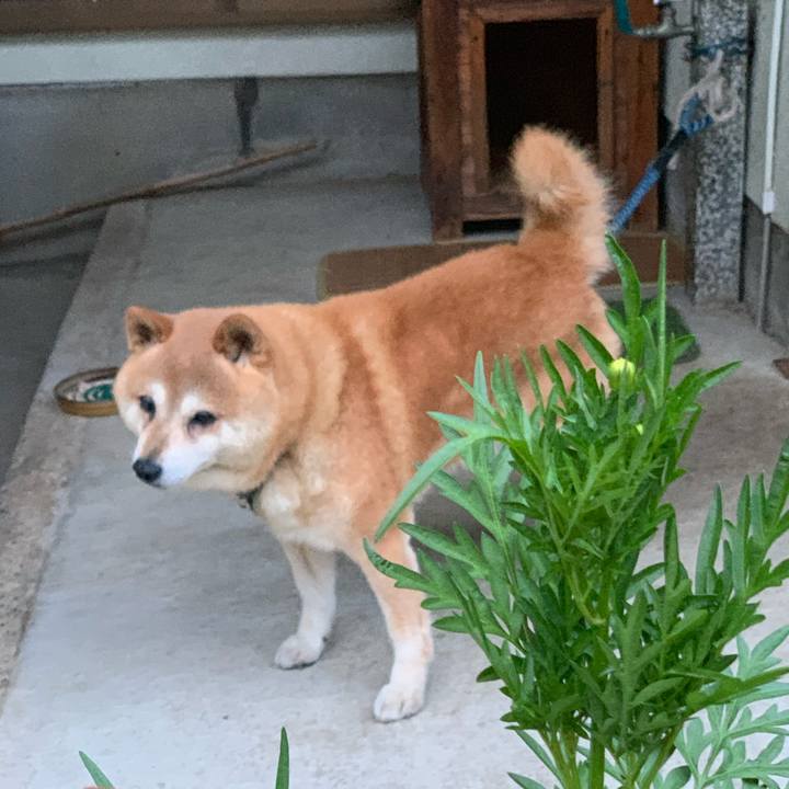 8dadeeea 8abc 4355 b8c5 fa17c6295864 1566211611850