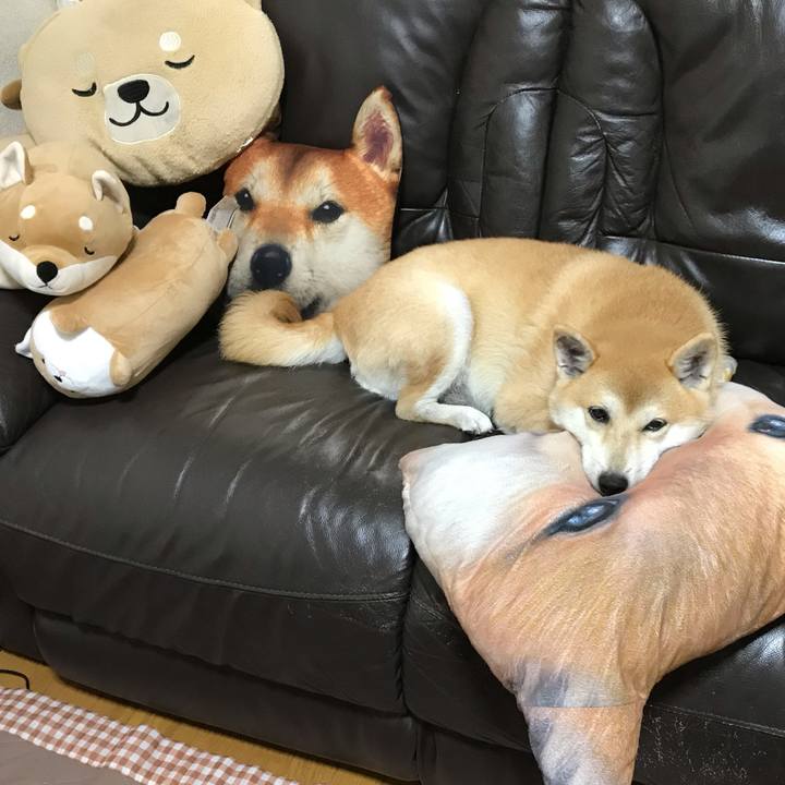 8dae18c1 6f99 43ec bf53 90d1523def78 1539687734862