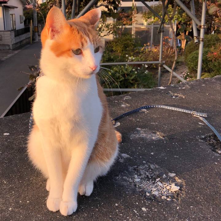 8dae1a19 8a6b 47bb 89a3 37dc14db3c72 1540451731885