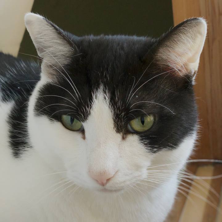 8dae3284 d190 4d24 a761 57634fa9130d 1553306224880