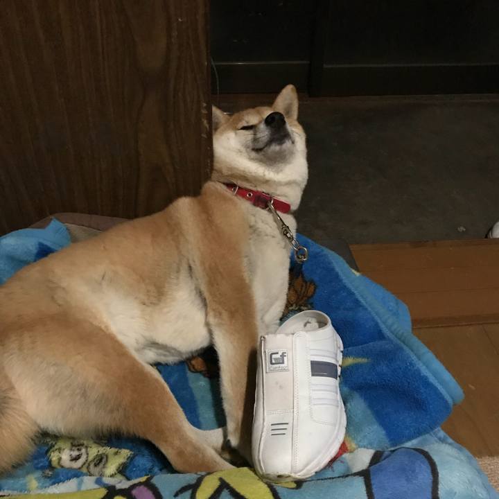 8dae5a02 4373 4bf4 b356 da5c0ae2302a 1513008510411