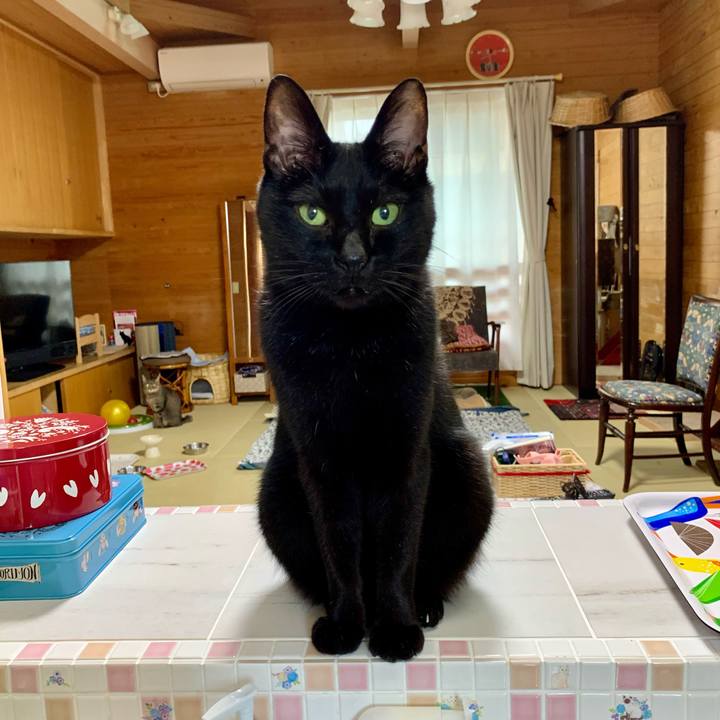 8dae5ed2 54d5 42d8 834a 08d735642a6f 1623972543829