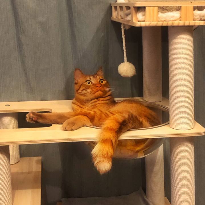 8dae8b6d be16 4204 a1a3 55c4d03c402b 1749676856035