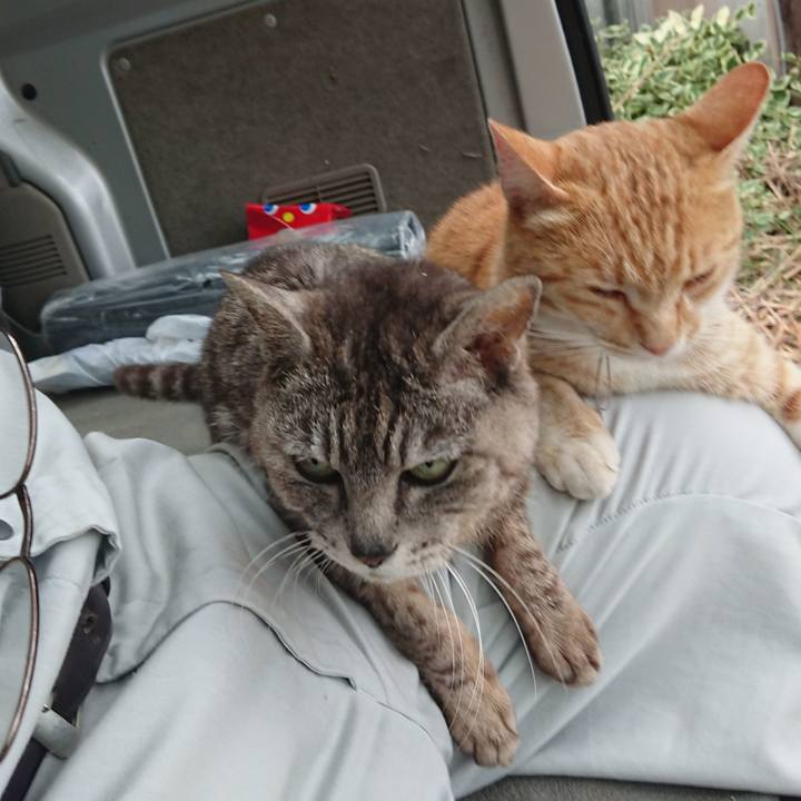 8daeaab9 54fe 4ff7 9ad6 92e11afb6302 1591954552348