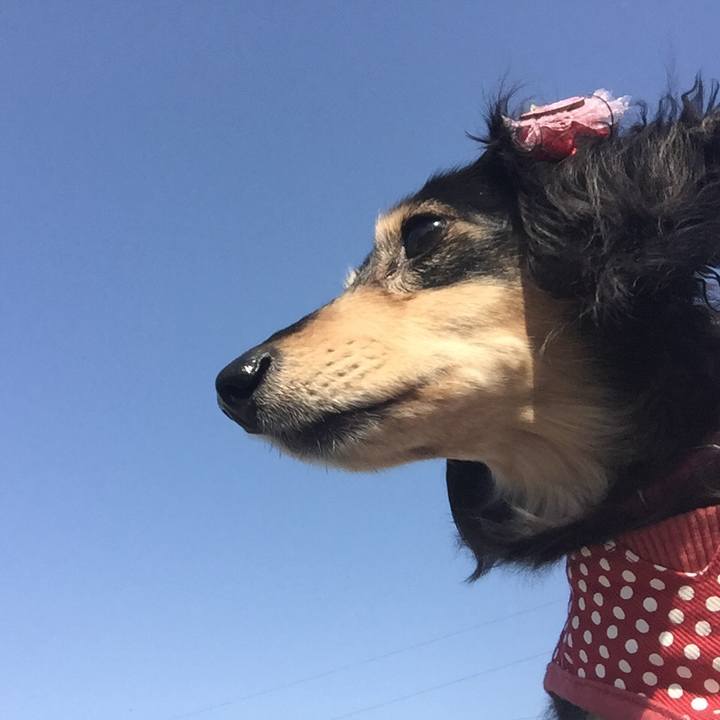 8daeb2a3 a1ea 4fcc 82fb 05d64639198a 1520906521381