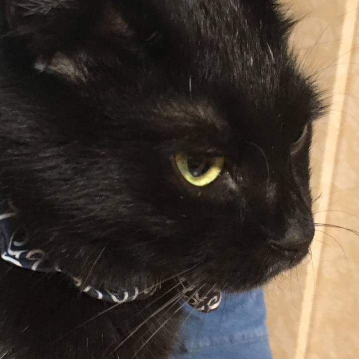 8daeb6db d36d 48ee b4ac d5c372a94154 1538146462875