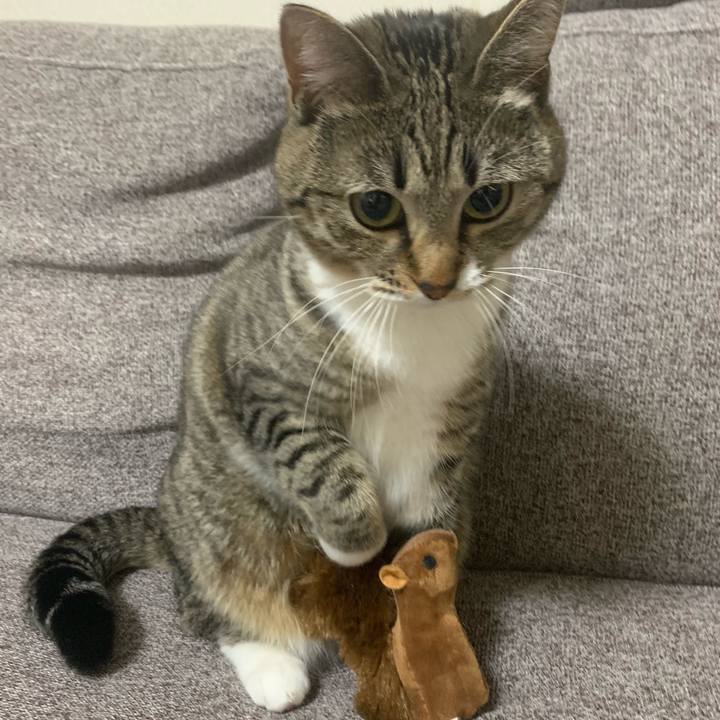 8daebed1 347a 4b8a 81b5 5c3fd7060e40 1577283746998