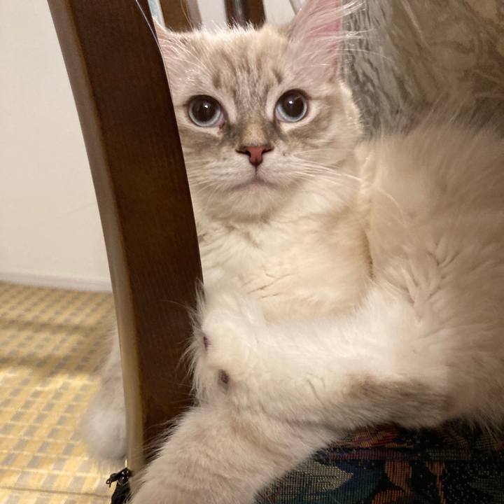 8daec375 ea66 4098 be4a d18890585394 1683815129623