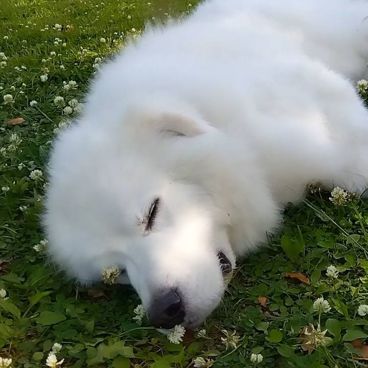 8daed84b a8f2 484f 94e5 8b5a33bc4ef4 1683343905658