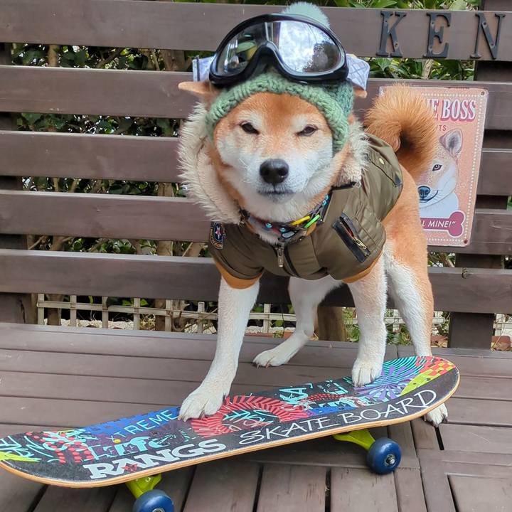 8daf02e2 a4c2 41b4 889f 3f1092a7a81c 1771305346076