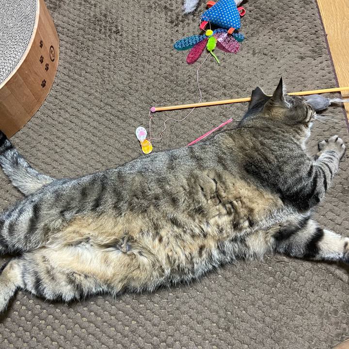 8daf0c36 936e 4744 8b05 576a756b773e 1647428552224