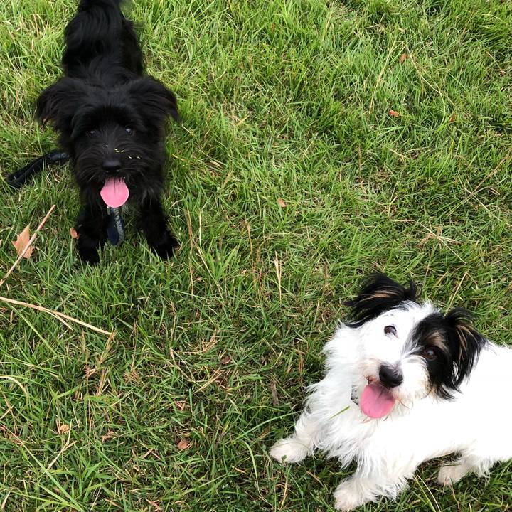 8daf3c7c 86d8 4d3b 9d26 70354631fce7 1540509492061