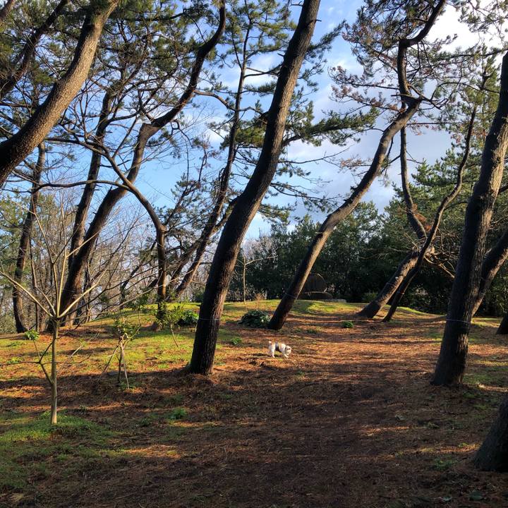 8daf5263 26d3 4755 b752 c7eca367a68e 1584487576073