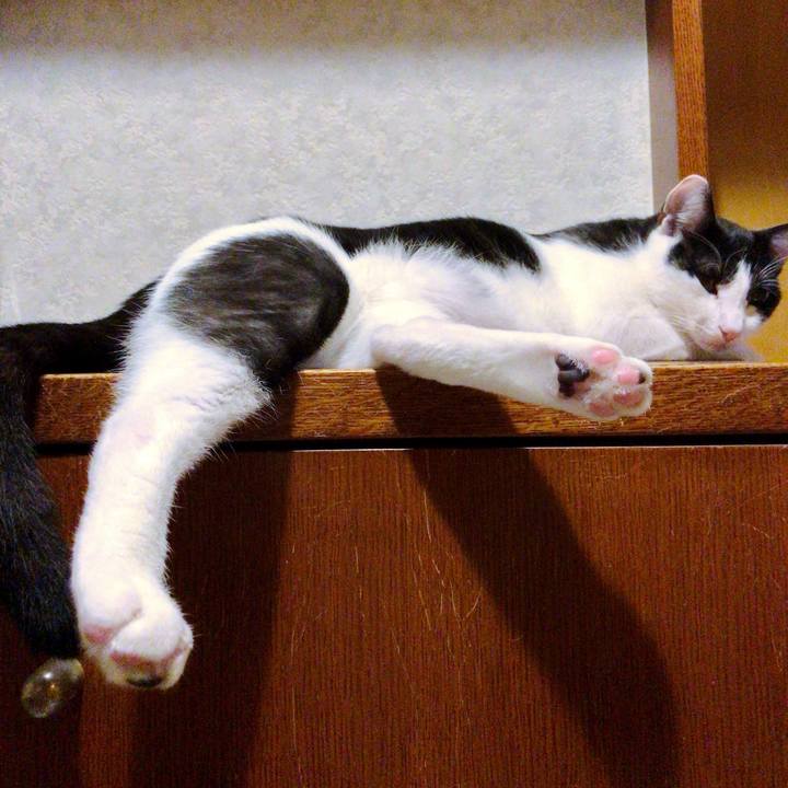 8dafb861 2662 496d 98dc 670debd3769a 1507864850214