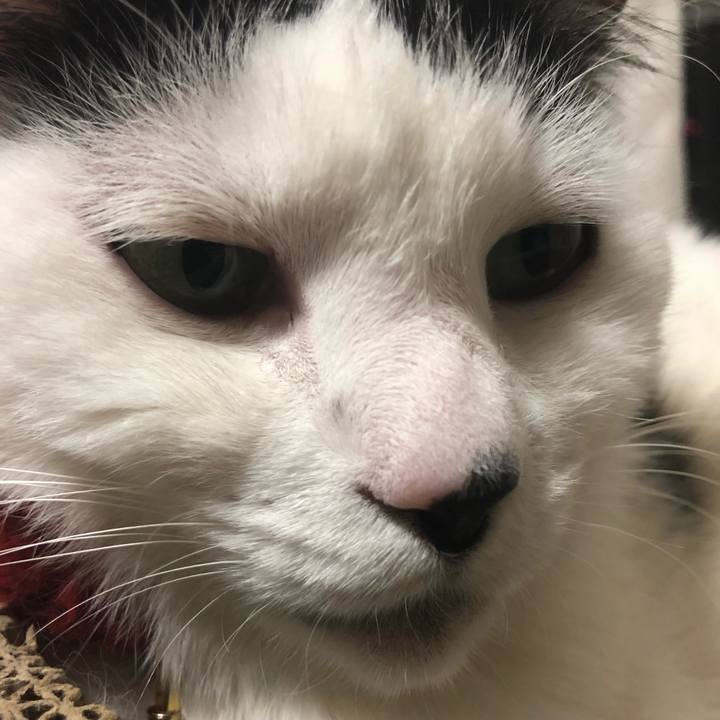 8db06c79 d39a 463e 937a 98b7020dbb52 1526220253477