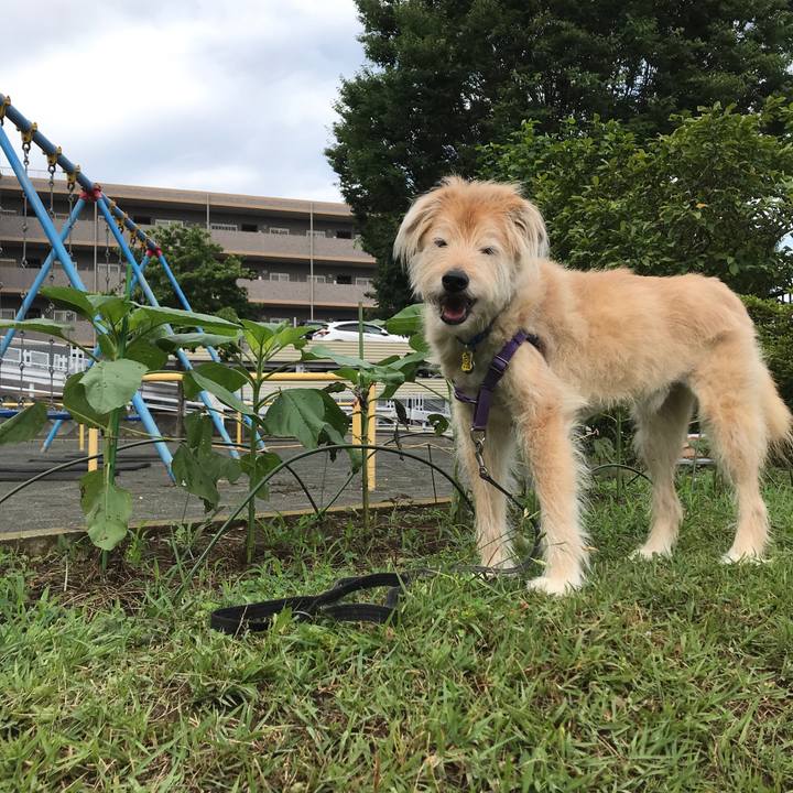 8db0ccde 41d5 4f65 9c65 c10c645d748f 1592179616451