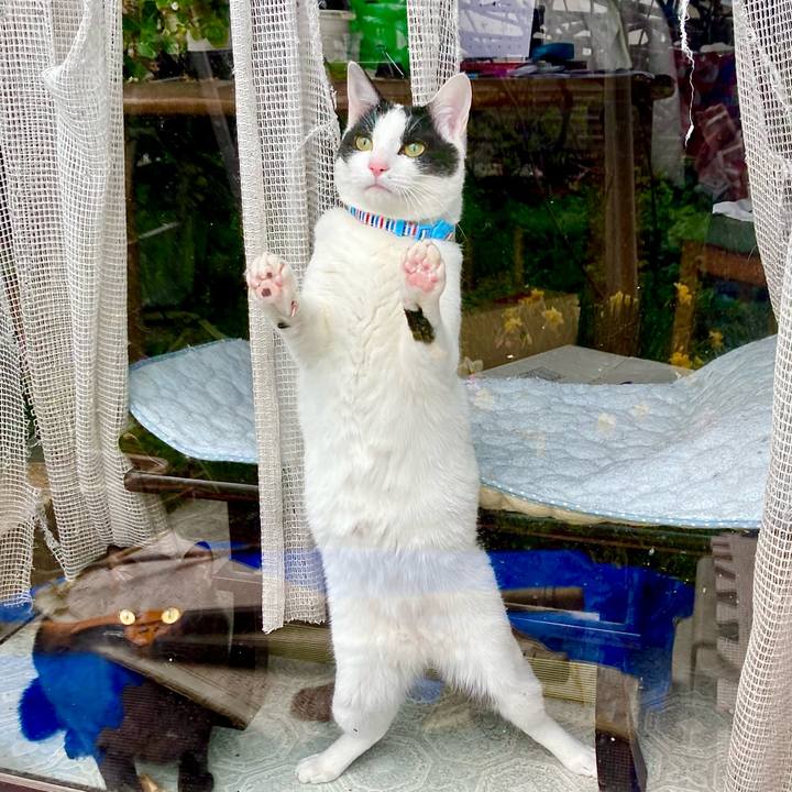 8db0ee1a babc 44fc b79f e069983f29c2 1649979561552