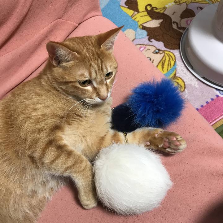 8db0f166 8fad 4d0a aa4a 6e74720ff1b5 1519741285830