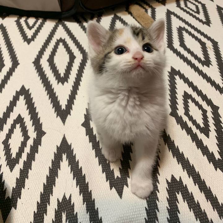 8db0fc96 81a4 44da a38f 36bc2268afbc 1590067989118