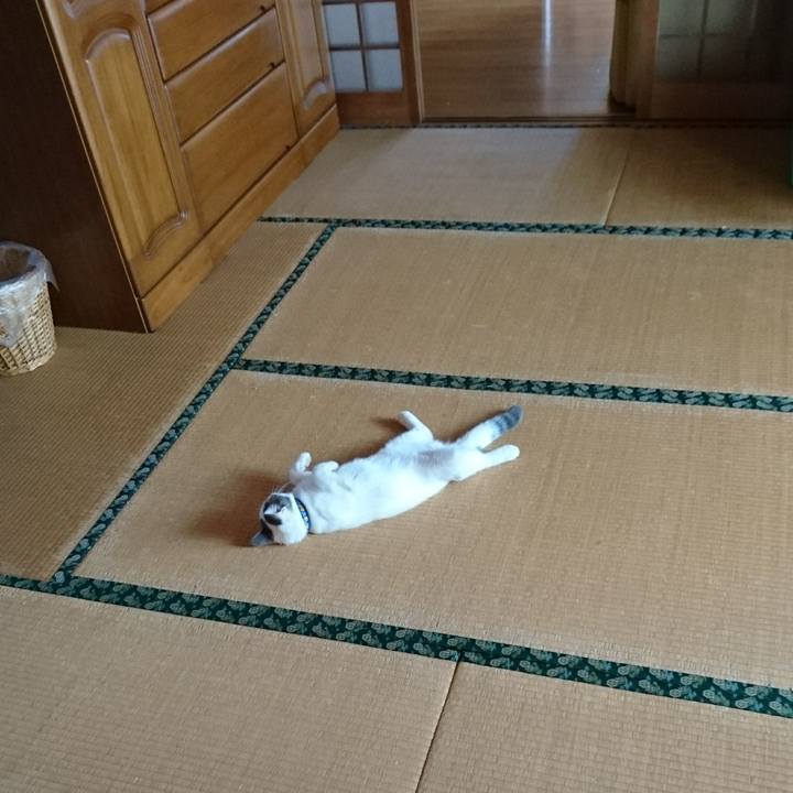 8db1a769 46a3 4bab 990f 3eaf9502fe8c 1538874134044