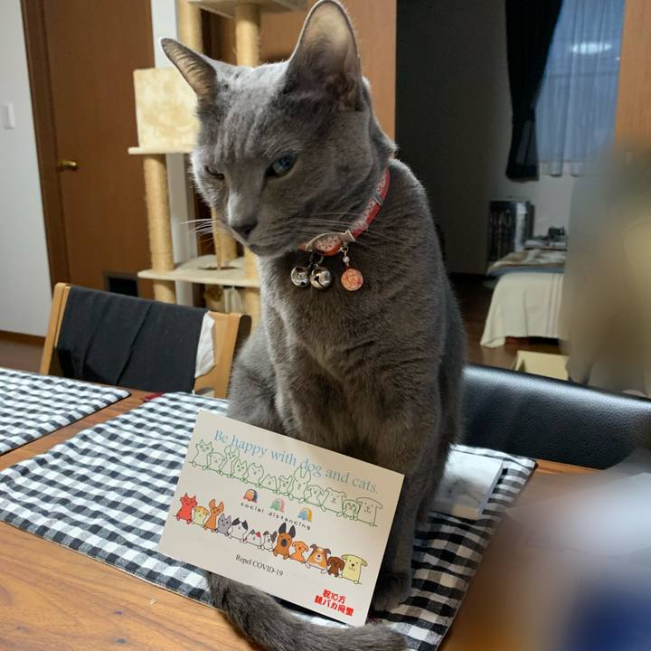 8db1bd8f d30b 4ad9 880c eb1b0206bdf3 1616923005778