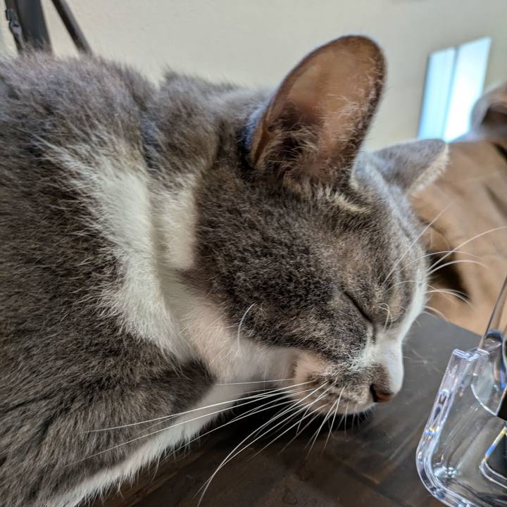 8db1c20e 2bdb 4744 bd50 b8396e4d7a08 1727765189385