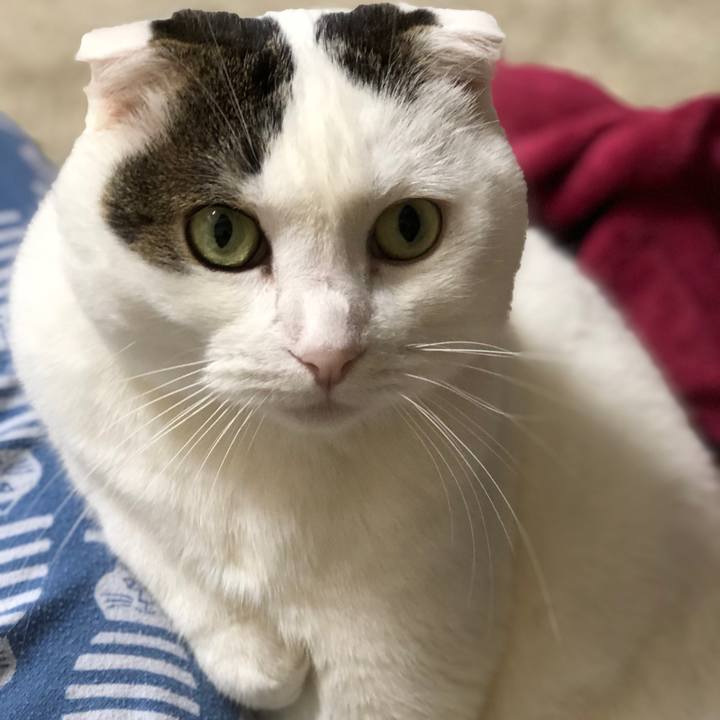 8db1cbdf 7642 4a95 976f 30f60e5ee467 1542631078515