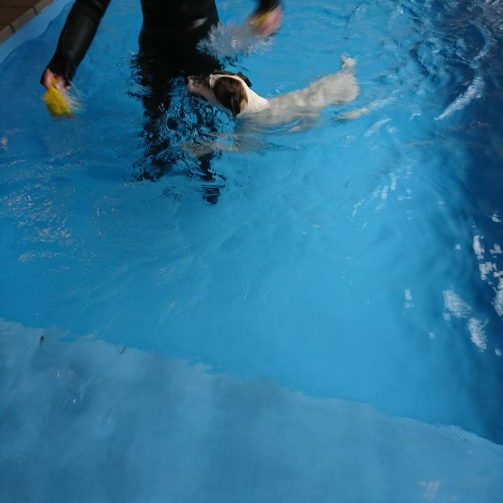 8db1f848 b029 44b2 94b4 8490eadc4866 1521604423713