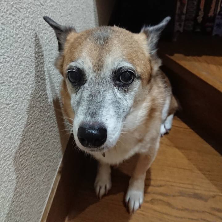 8db20397 e793 4754 b1e4 a842ead61652 1562767911571