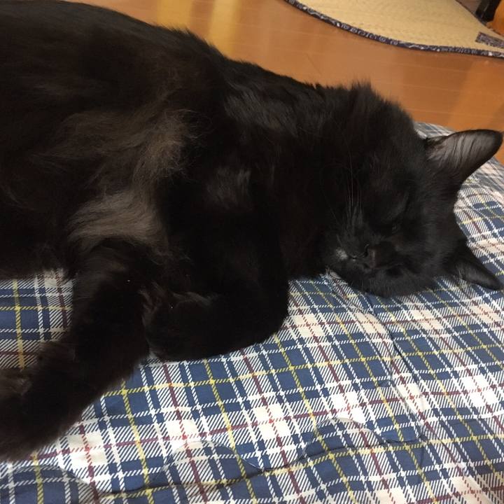 8db20422 4d65 4a27 90af 0edb59ba79ef 1508205627504